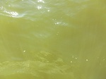 2012-09-21_14-26-21_CIMG0028.JPG