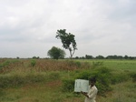 9820gt0119b-cropland-rainfed-supplemental.gif