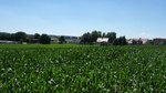 2016-07-25_03-26-56_DSCF1528.JPG