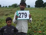 130000279c-rainfed-agriculture-mixedcrop-cotton-dominant-sorghum-soyabean.gif