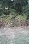 2020-10-09_14-28-10_2020-10-8-18-58-5.jpg
