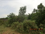 2012-09-26_20-49-52_CIMG1038.JPG