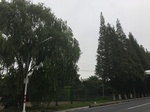 2017-09-10_20-46-07_70579B66-7BE5-4D0B-ACAC-3FEFE58C134A.jpg