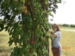 2012-10-02_20-12-50_CIMG0100.JPG