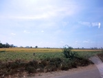 56168CIMG6872.JPG
