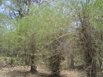 1789927042008(33).JPG