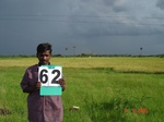 6314062a-irrigated-supplemental-major-rice-dominant-sugarcane-doublecrop.jpg