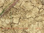 39095CIMG4794.gps.jpg