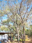 2012-09-28_22-48-25_TX-ER-4-7.JPG
