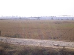 3184R0017218.JPG