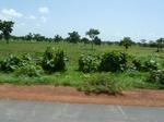19538P1010385.JPG