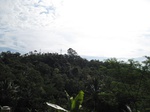 16306IMG_5080.JPG