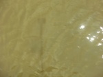 58598CIMG3048.JPG