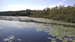 2017-07-07_18-33-45_IMG_20170704_103835.jpg