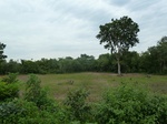 18413P1000249.JPG