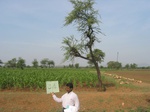 7792gt034b-cropland-rainfed-mixed-crops.jpg