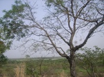 3786RIMG0090.JPG