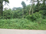 19936P1010786.JPG