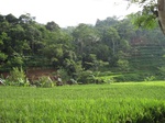 14675IMG_5056.JPG