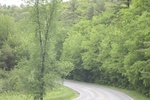 2022-06-12_15-03-22_C8043007-8555-4165-9525-77DD5FE247F7.jpeg