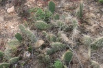 2012-10-04_17-41-55_Mack-4.jpg