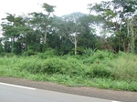 20172P1020024.JPG
