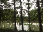 2017-09-10_20-41-48_C22F924D-0D56-4D81-BD61-A80D1CC9E454.jpg