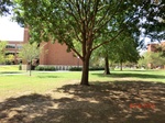 2012-10-02_19-37-31_CIMG0058.JPG