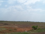 488402052008(78).JPG