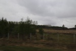 2017-05-12_17-38-14_2017-05-05 19.10.51.jpg