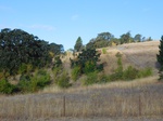 2020-05-28_13-19-18_2019-09-04_Erratic_RockW.JPG