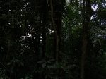 549411052008(84).JPG