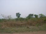 3892RIMG0196.JPG