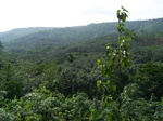 546811052008(38).JPG