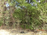 2012-10-02_20-53-28_CIMG0121.JPG
