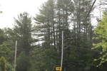 2022-06-12_15-03-12_27C03B11-886E-4325-BFF7-4324BECE4559.jpeg