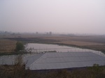 2955 059.jpg