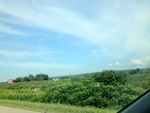 57948IMG_0911.JPG