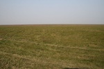4504IMG_8589.jpg