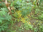 20247P1020102.JPG