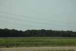 2022-01-19_17-43-53_4E8A2971.JPG