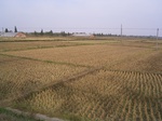3172R0017206.JPG