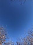 2020-12-09_15-11-17_2020-12-9-15-9-32.jpg