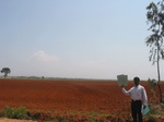7775gt026a-cropland-rainfed-mixed-crops-red-soils.jpg