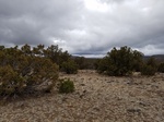 2017-02-19_18-54-40_20170219_102709.jpg