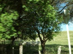 5767100_1362.JPG