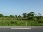 19373P1010219.JPG