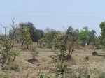 476401052008(3).JPG