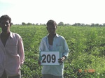 70970209c-rainfed-agriculture-cotton-dominant-soyabean.jpg