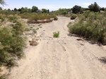 2017-05-30_00-21-18_2017-05-29 14.46.12.jpg